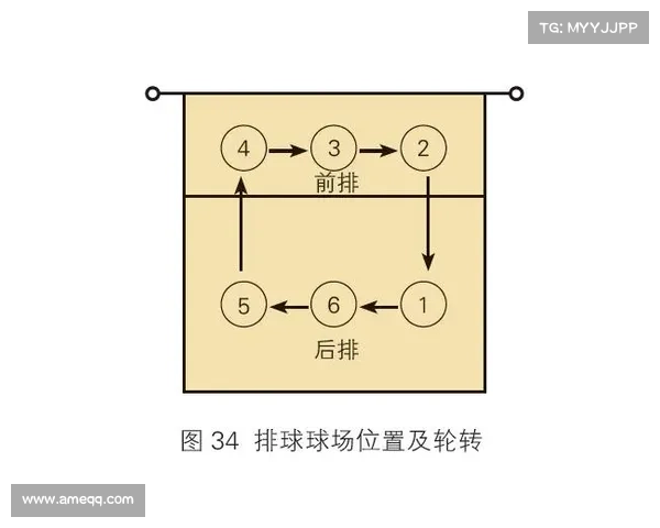 排球网技术解析:从基础规则到高级战术的全面探讨 排球网技术解析:从基础规则到高级战术的全面探讨